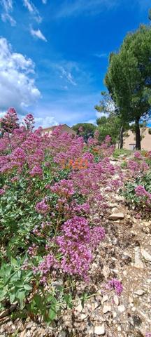 Type 3 avec terrasse et parking