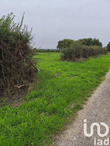 Terrain à vendre 4 300 m² Ceaulmont