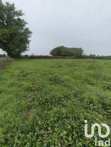 Terrain à vendre 4 300 m² Ceaulmont