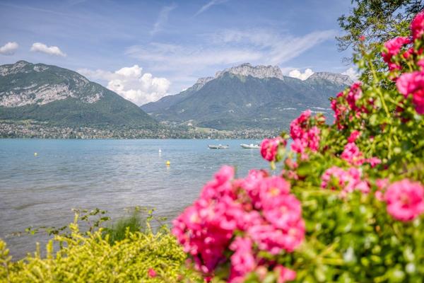 Vente Maison de luxe Annecy 25 Pièces 1000 m²