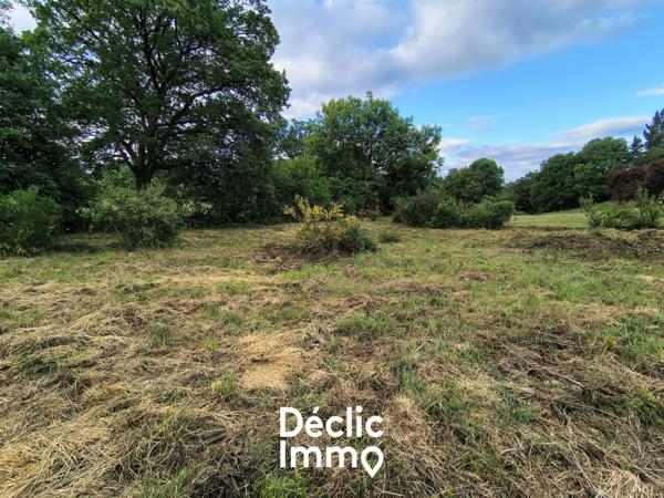 Vente terrain constructible La chapelle bertrand, 25 000€ Deux-sèvres Poitou-charentes N°