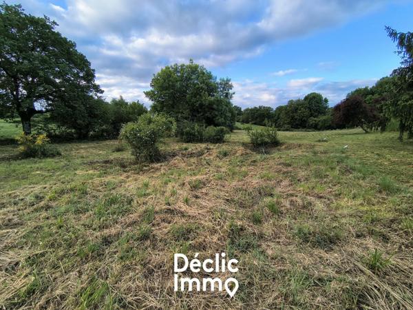 Vente terrain constructible La chapelle bertrand, 25 000€ Deux-sèvres Poitou-charentes N°
