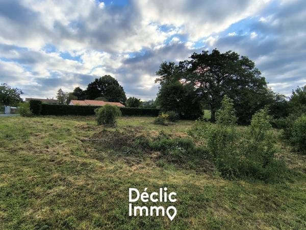 Vente terrain constructible La chapelle bertrand, 25 000€ Deux-sèvres Poitou-charentes N°