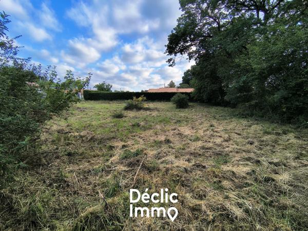 Vente terrain constructible La chapelle bertrand, 25 000€ Deux-sèvres Poitou-charentes N°