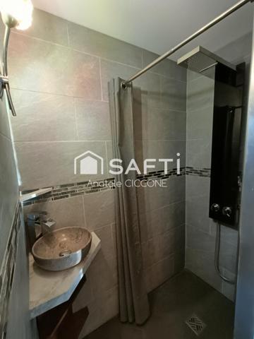 Maison traditionnelle avec grand jardin et piscine