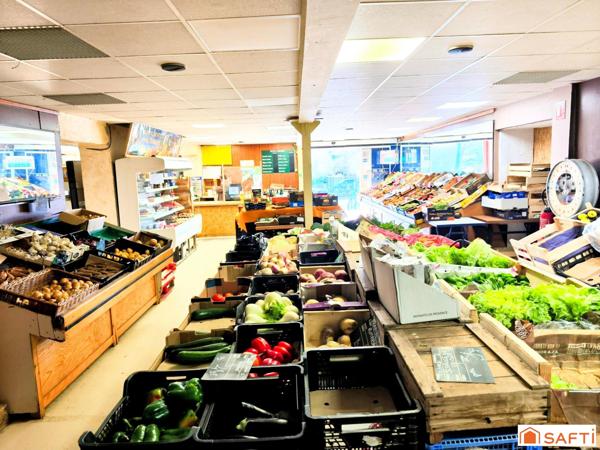 Vaste local commercial comprenant en partie supérieure 2 beaux appartements en duplex, piscine et garage