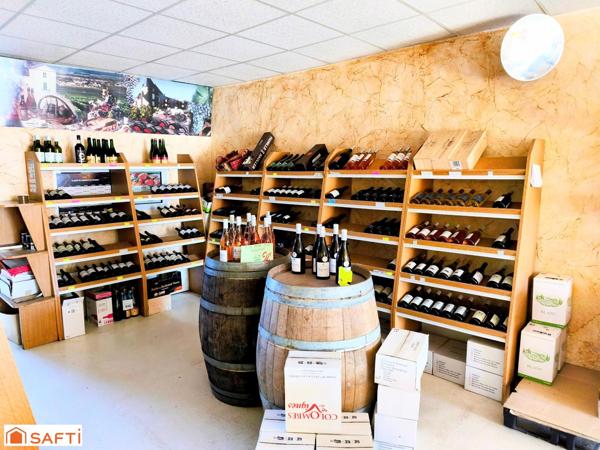 Vaste local commercial comprenant en partie supérieure 2 beaux appartements en duplex, piscine et garage