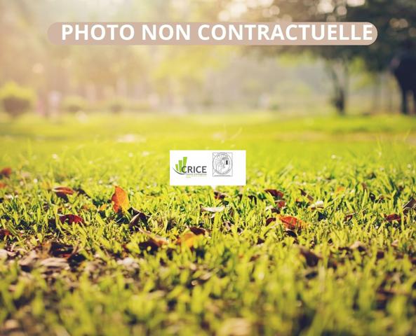 LOCATION TERRAIN NU