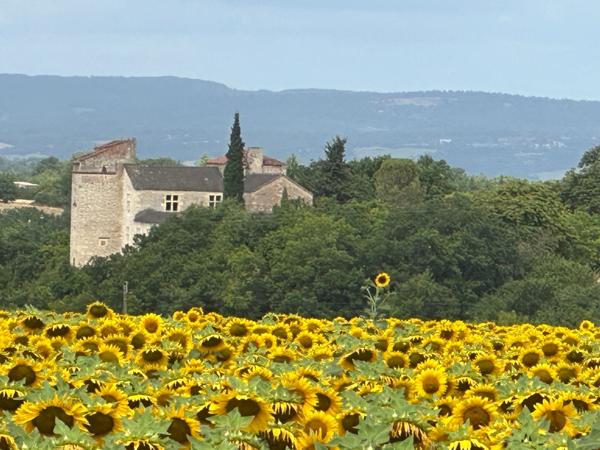 Vente Château Cordes-sur-Ciel 12 Pièces 470 m²