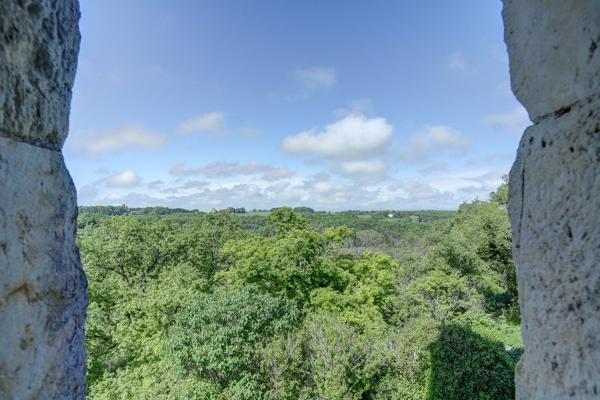 Vente Château Cordes-sur-Ciel 12 Pièces 470 m²