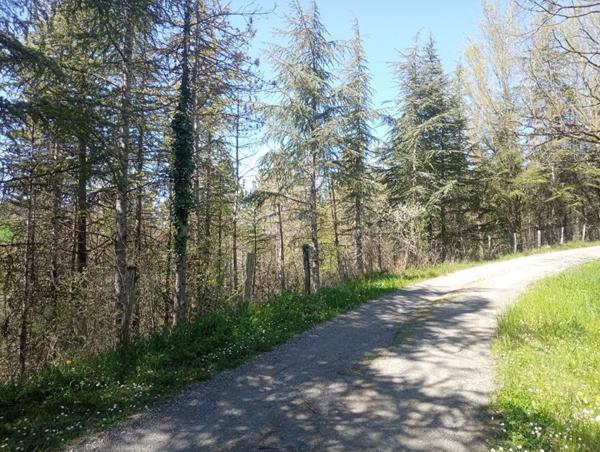 Lombers : Terrain constructible de 4000 m2 !