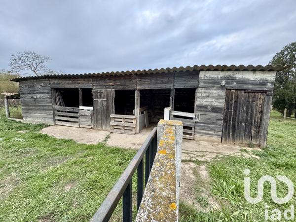 Mas 9 pièces de 300 m² à Beaucaire (30300)