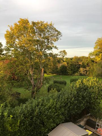 Maison de 160m2 5 chambres à Ardillières proche Aigrefeuille