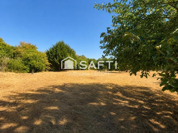 180 m², 5 chambres sur plus de 5 000 m²