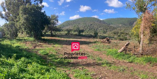 Grand Terrain  plat avec maison à rénover - à proximité de PORTO-VECCHIO et LECCI  (20137) - CORSE DU SUD