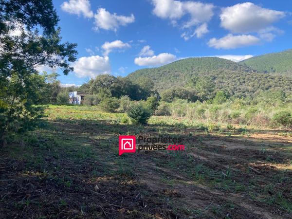 Grand Terrain  plat avec maison à rénover - à proximité de PORTO-VECCHIO et LECCI  (20137) - CORSE DU SUD