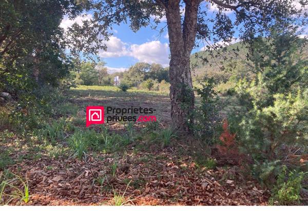 Grand Terrain  plat avec maison à rénover - à proximité de PORTO-VECCHIO et LECCI  (20137) - CORSE DU SUD