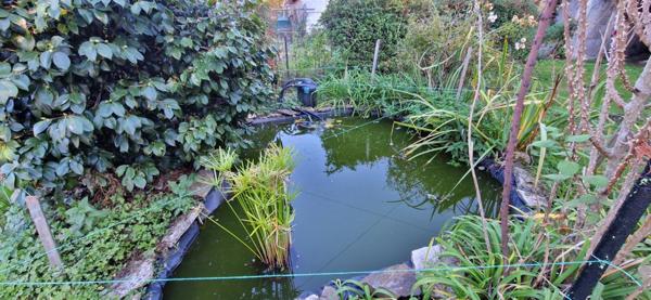 Maison 3 pièces avec jardin + garages + potentiel appartement à rénover