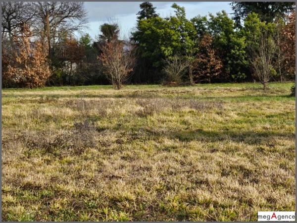 Terrain à LAMOTHE-GOAS, 32500 - 4284m²