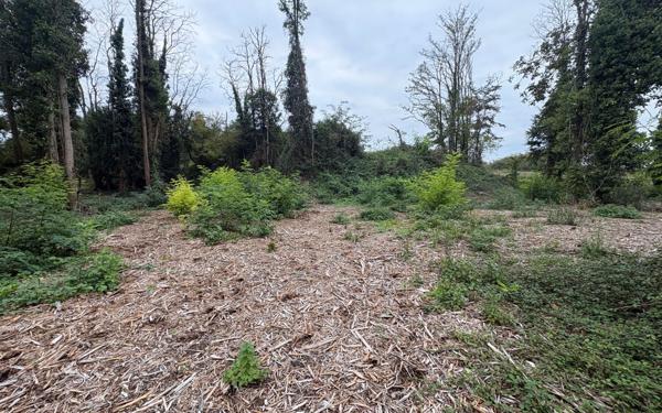 Terrain à vendre    Beaugency