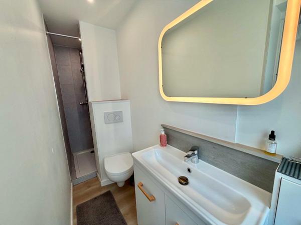 APPARTEMENT T2 – PROCHE GARE ET BOULINGRIN – CAVE