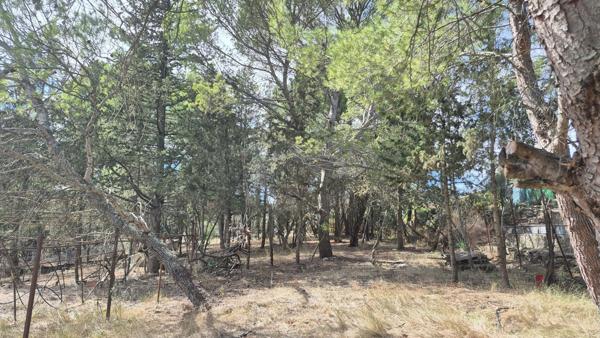 Terrain Ouveillan 449m2 arboré et vue agréable