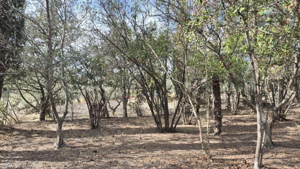 Terrain Ouveillan 449m2 arboré et vue agréable