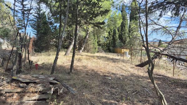 Terrain Ouveillan 449m2 arboré et vue agréable