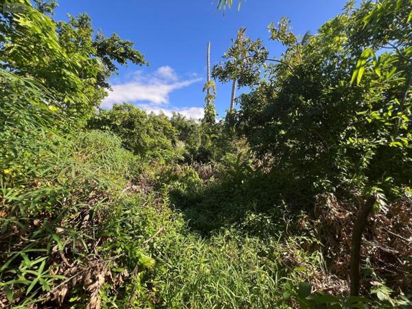 Villa à vendre à Saint-André à la Réunion (97440), ref : 97405/136   
Petit bazar