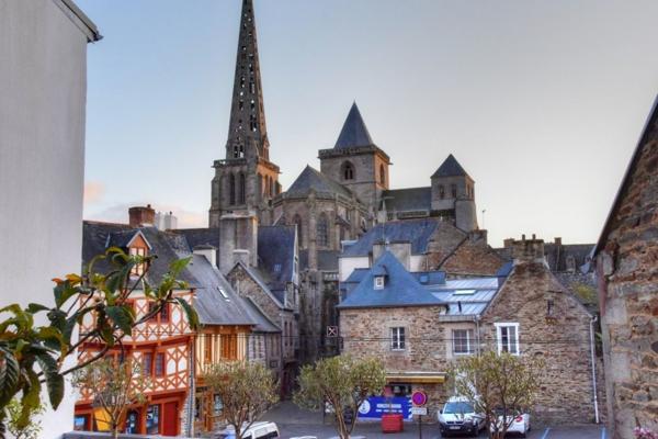 Immeuble d'habitation  et commerce de 177 m2 en centre ville