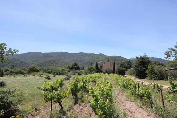 Mas Catalan sur un écrin de verdure 7 pièces piscine et dépendance Argeles-Sur-Mer