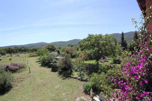 Mas Catalan sur un écrin de verdure 7 pièces piscine et dépendance Argeles-Sur-Mer