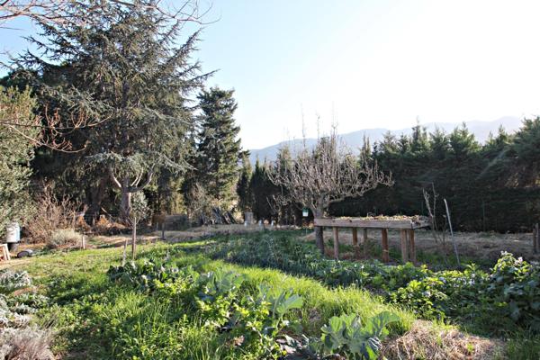 Mas Catalan sur un écrin de verdure 7 pièces piscine et dépendance Argeles-Sur-Mer