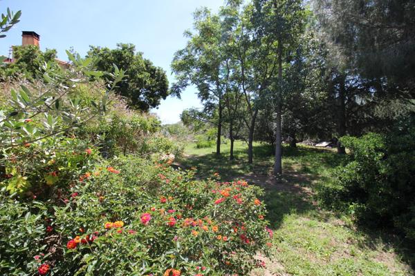 Mas Catalan sur un écrin de verdure 7 pièces piscine et dépendance Argeles-Sur-Mer