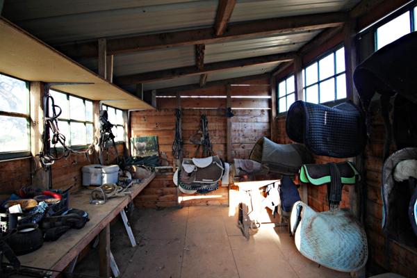 Mas Catalan sur un écrin de verdure 7 pièces piscine et dépendance Argeles-Sur-Mer