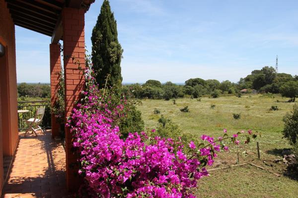 Mas Catalan sur un écrin de verdure 7 pièces piscine et dépendance Argeles-Sur-Mer