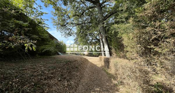 À vendre Terrain 6820 m² - Chasseneuil-du-poitou 86360