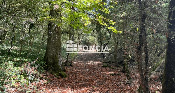 À vendre Terrain 6820 m² - Chasseneuil-du-poitou 86360