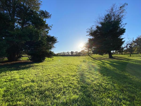 Environnement exceptionnel, calme, vue dégagée,