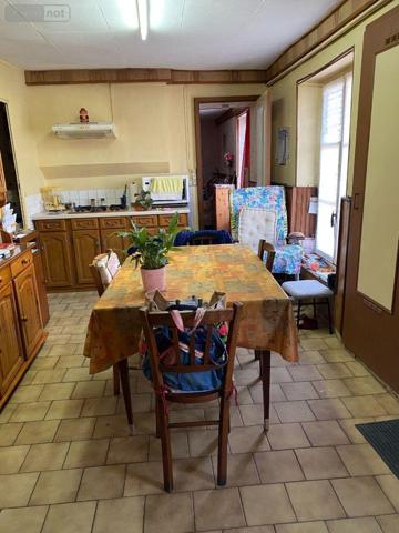 Maison à vendre à Châtillon-sur-Indre dans l'Indre (36700), ref : 1052101