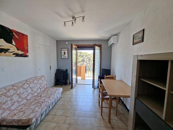 Un appartement 31M2 terrasse et parking Valras plage