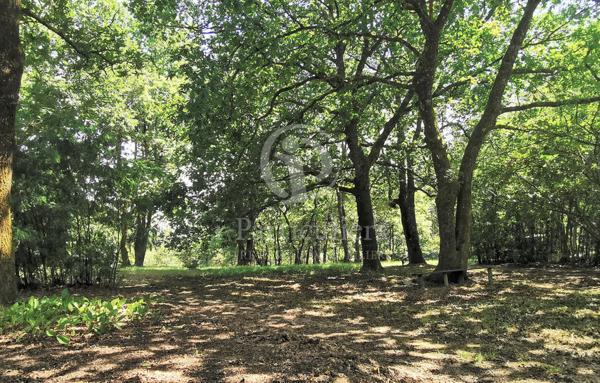 Terrain de 10 302 m²