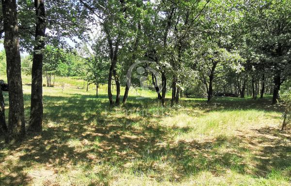 Terrain de 10 302 m²