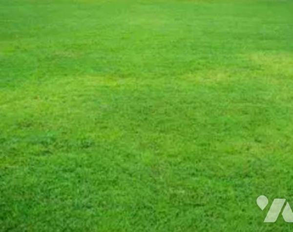 Terrain à Vendre – Rezé