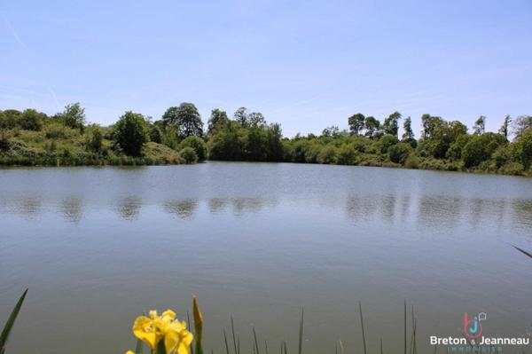 Terrain de 3 ha 90 avec un plan d'eau de 1 ha 40 en Mayenne