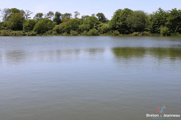 Terrain de 3 ha 90 avec un plan d'eau de 1 ha 40 en Mayenne