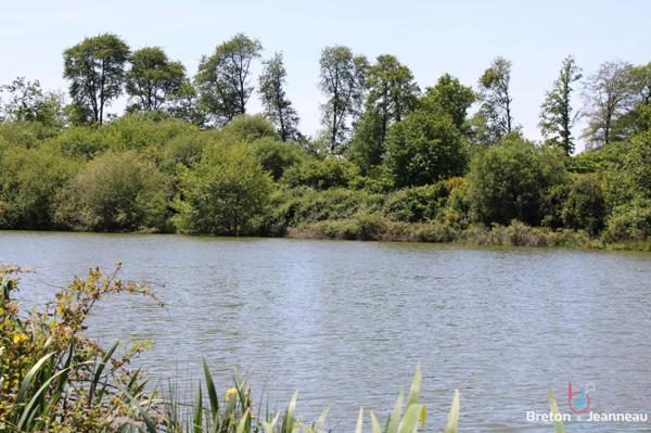 Terrain de 3 ha 90 avec un plan d'eau de 1 ha 40 en Mayenne