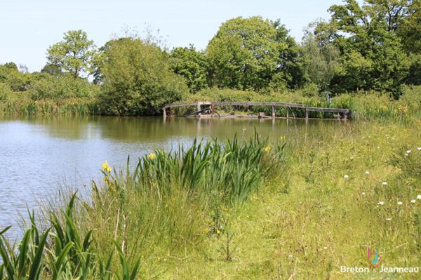 Terrain de 3 ha 90 avec un plan d'eau de 1 ha 40 en Mayenne