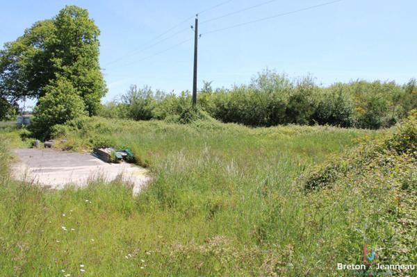 Terrain de 3 ha 90 avec un plan d'eau de 1 ha 40 en Mayenne