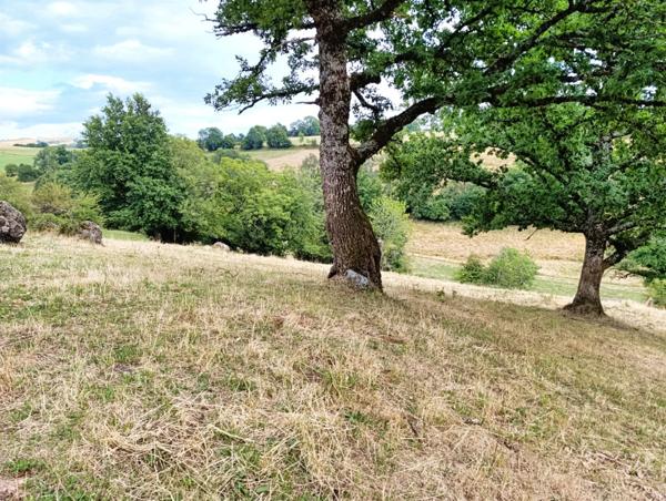 Propriété avec buron Proche de Salers